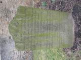 image of grave number 707985